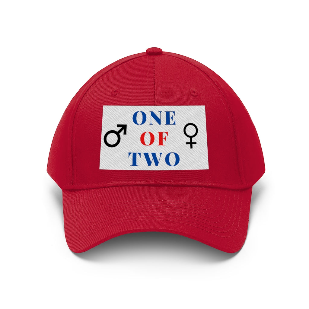 One of Two Hat